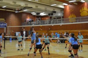 volleyball camp Connecticut